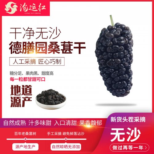 德膳园桑葚干